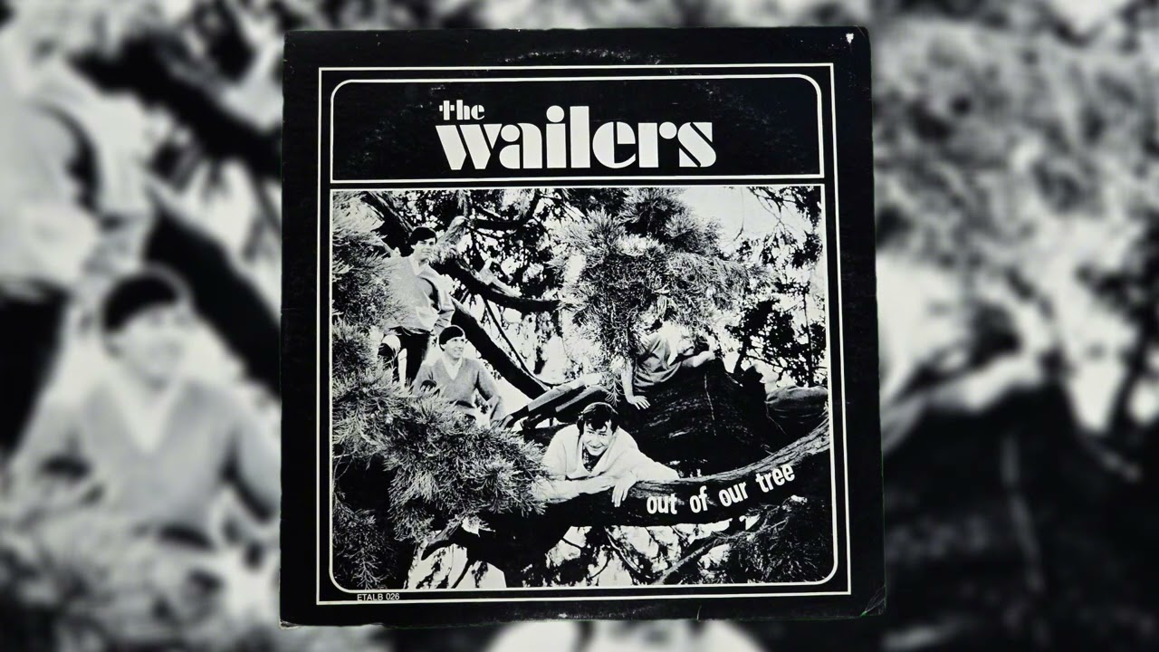 The Wailers - Out Of Our Tree (1966) | US Garage Rock Psych | Full