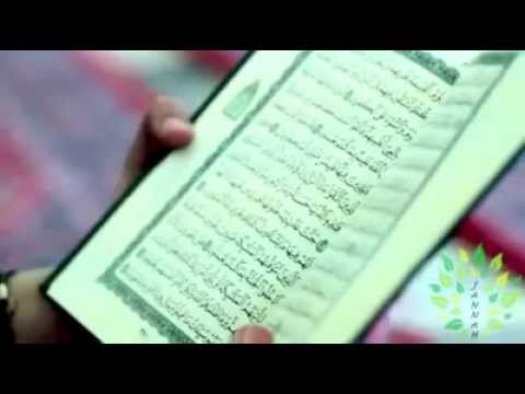 أنشودة عشنا سنينا والكتاب رفيقنا