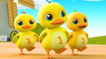 Con Vịt - Chú Vịt Con - Chú Vịt Nâu - Nhạc thiếu nhi - Một Con Vit