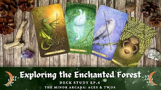 Exploring the Enchanted Forest Ep. 6 | Minor Arcana: Aces & Twos  | Tarot Deck Study