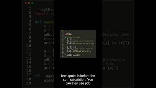 Python Breakpoint