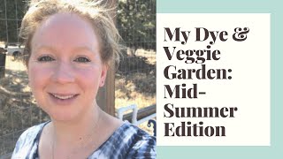 My Dye & Veggie Garden: Mid-Summer Update