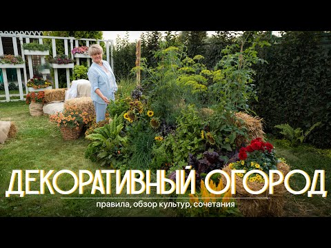 Декоративный огород. Что учесть при подборе культур