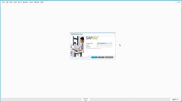 SAP Business One 9.2 On premise Support User