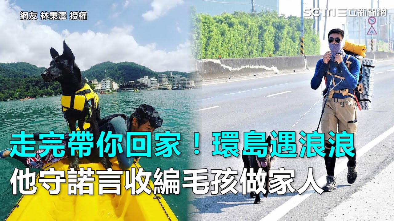 走完帶你回家！環島遇浪浪　他守諾言收編毛孩做家人！｜三立新聞網SETN.com