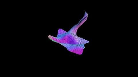 Mesh Growth Curve Attractor