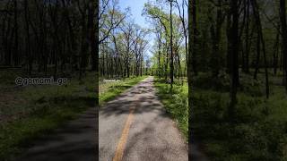 🥾🥾 Mañana de Caminata en el Bosque áreas forestales de #chicago Vamos 😉