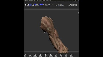 3D zbrush Arm texture {polypaint} timelapse #zbrush #sculpting  #3d #arm #ai #shorts #short