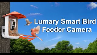 Lumary Smart Bird Feeder Camera (L-BFC0A1) by Lumary Smart Home 62 views 8 months ago 3 minutes, 36 seconds