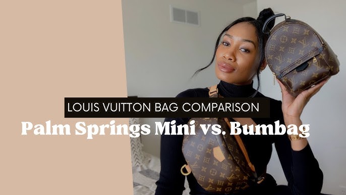 Review: Louis Vuitton Palm Springs Mini – Buy the goddamn bag