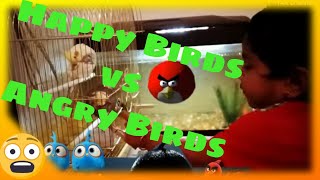 Happy birds vs Angry birds| Happy birds with Angry birds 😡🤬😡😡😡😧😳🦜🐦🕊️🦅🐤🦚🦉🦩🦆🐧🐓🦃🐥🦢🦤🐔🐣🐶🐱🐱😂🤣😅😆🤭😄😁 screenshot 5