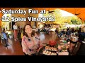 12 Spies Vineyards - Rabun Gap, GA