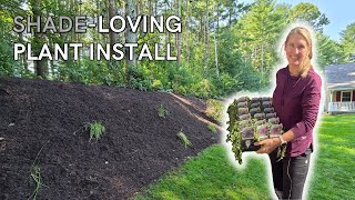 Brightening Up a Shady Hillside with Ground Cover Plants | Fall Garden Install