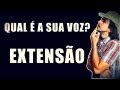 Qual  a Sua Voz? EXTENSO 1-4 - Aula de Canto