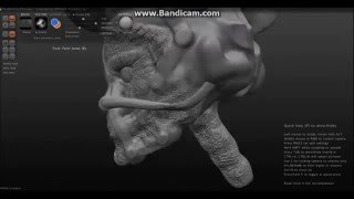 Concept Character #5 in Sculptris Modeling TImelapse
