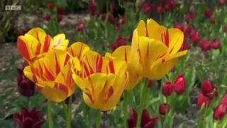 Gardeners World seas 49 ep 7/30 (April 22, 2016)