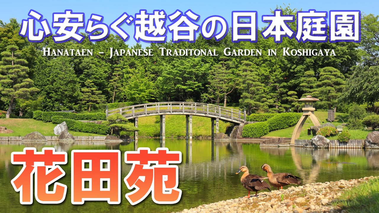 花田苑 伝統的な日本庭園をのんびり散策 越谷 Youtube 花田苑 伝統的な日本庭園をのんびり散策 越谷 Youtube