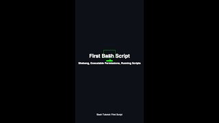 First Bash Script - Shebang, Executable Permissions, Running Scripts — in 30 seconds #Bash #Shell