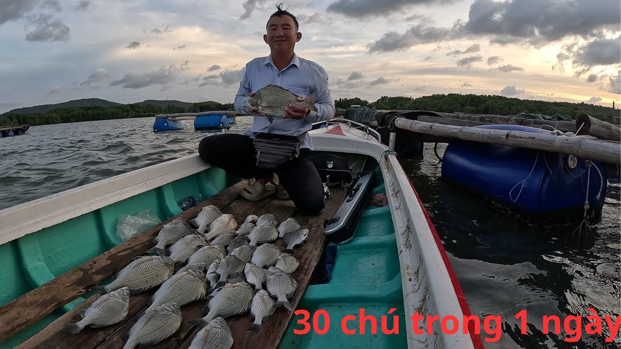 301/ Nay có vía thằng em câu sát cá , lên cá liên tục . Câu IKADA mồi TRÙNG BẸ .