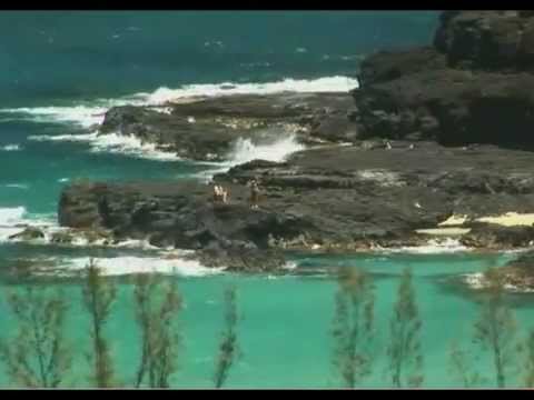 Watch Born To Lose. By James W. on YouTube Watch Born To Lose. By James W. on YouTube