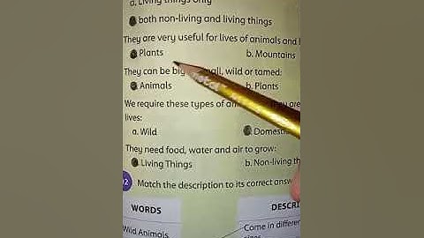 Amazing World Book 1 Unit 13 Ex