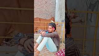 Hungry bull#viral#viralshorts #ytshorts