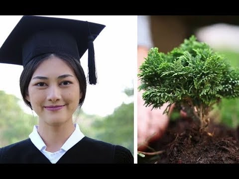 Video: Gli Studenti Filippino Devono Piantare Alberi Per Laurearsi