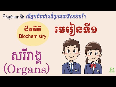 ជីវគីមី [1] - សរីរាង្គ (Biochemistry-1 : Organs)