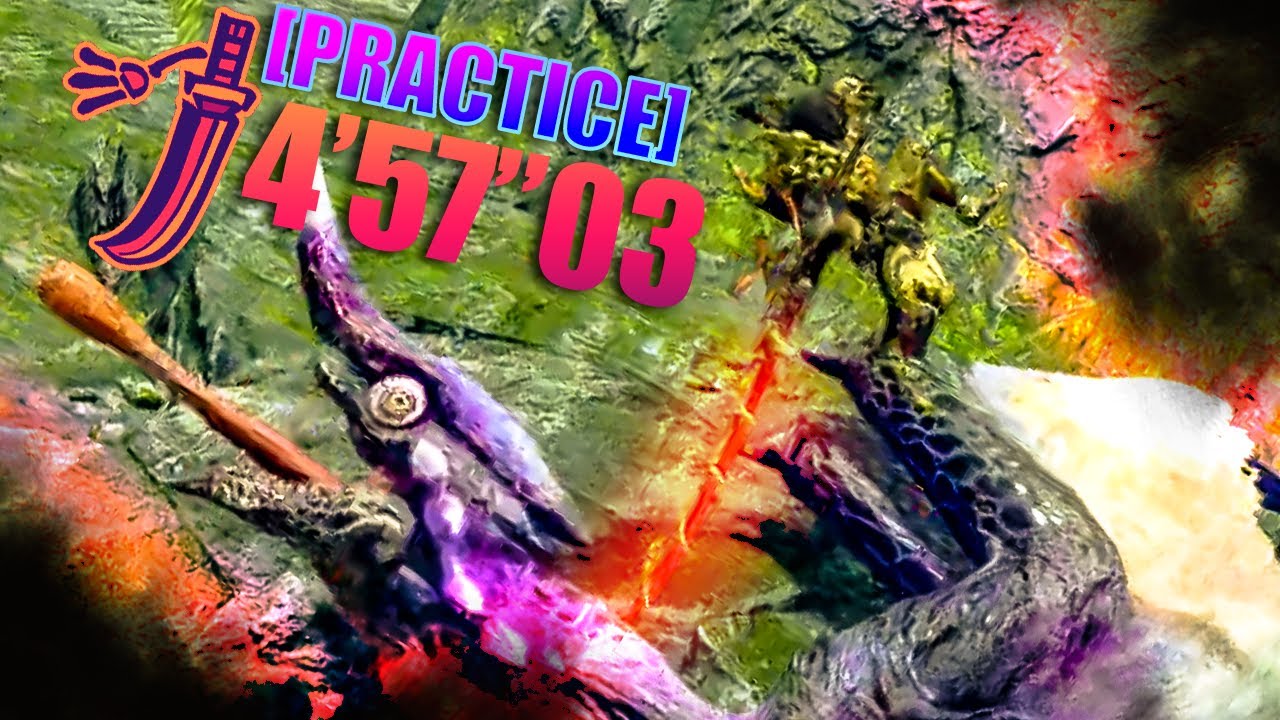 Chameleos LS Solo 4'57"03 Practice Run | MHRise