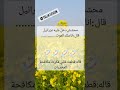 نكت مضحكة جدا mp3