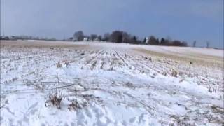 Late Season Goose Hunt Late Season Goose Hunt