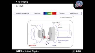 X ray imaging slides