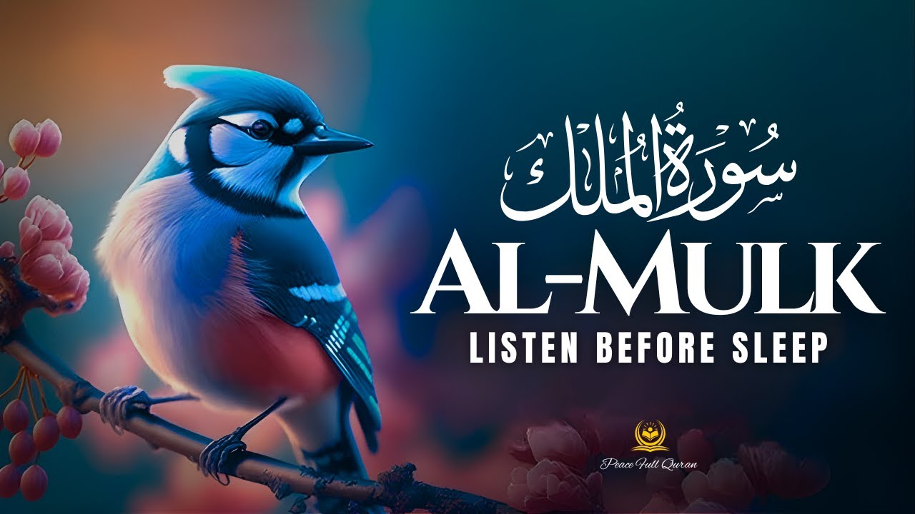 SURAH AL MULK (سورة الملك) | The Intercessor and Protector | Powerful and Tranquil Recitation