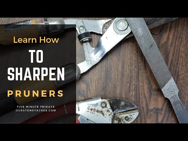 How to Sharpen Pruners With a File: A Step-by-Step Guide