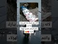 لانه رزق باربعه بنات توائم لم يبارك له احد
