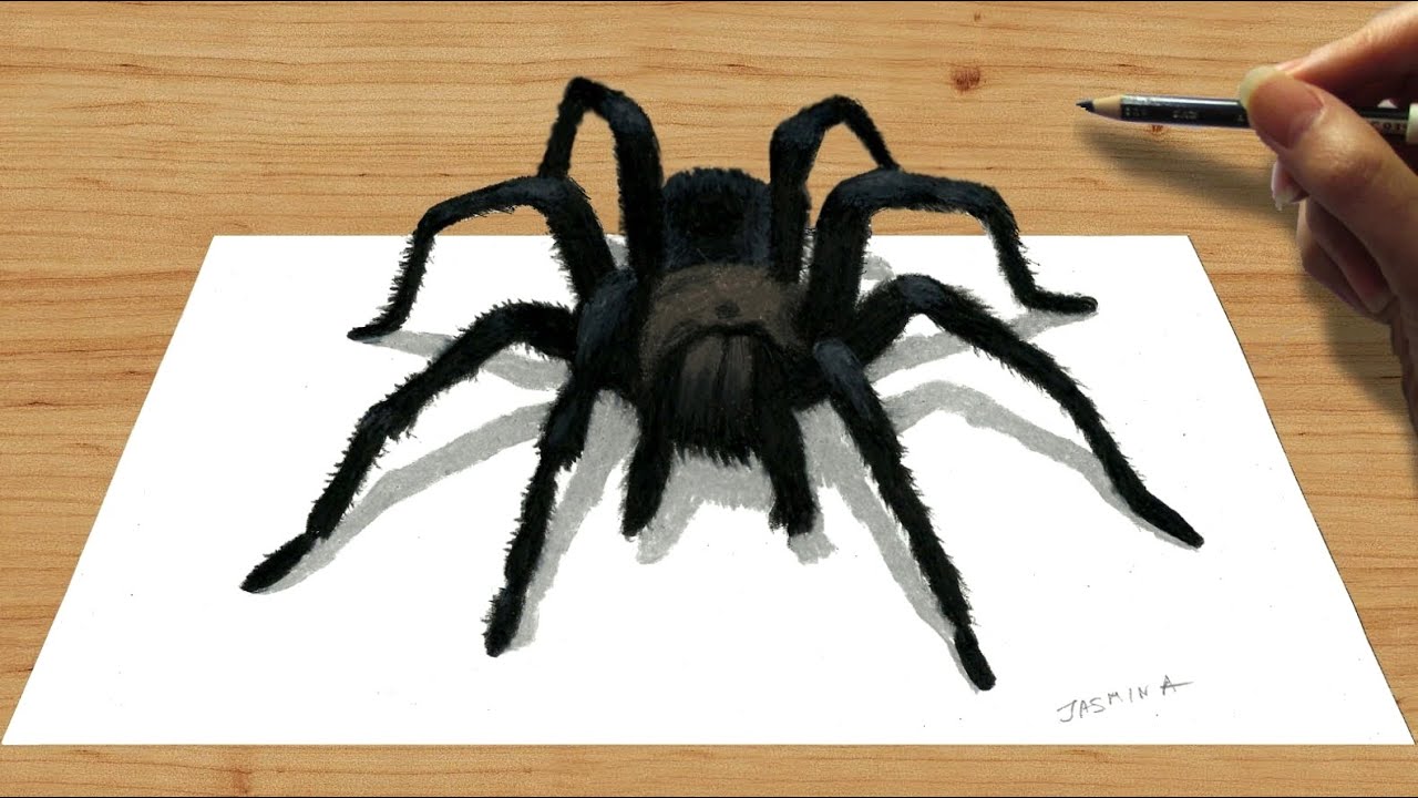 3D Spider DrawingAMAZING realistic illusion  Dailymotion Video