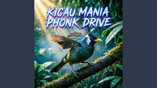 Download Lagu Kicau mania ciblek cuit Download Lagu Kicau mania ciblek cuit