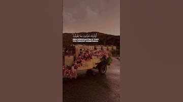 تلاوة عذبة ❤❤من القرآن الكريم الشيخ محمد اللحيدان