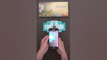 Foldscope at Home: Calathea Stomata