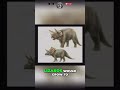 Dinosaurs & Humans: Did They Coexist? Shocking Evidence! #shorts