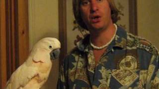 AVI microchips for birds with Rod Villemaire