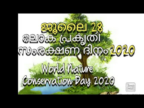 malayalam essay about nature conservation