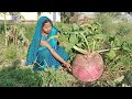 विश्व का सबसे बड़ा शलगम की स्वादिष्ट सब्जी तो एक बार जरूर देखें || The world's largest turnip recipe