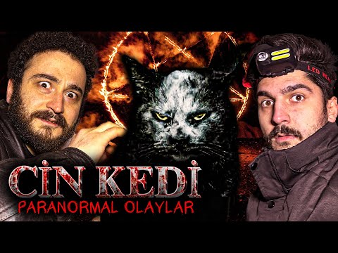 BU PİŞİK ŞƏYTAN MI? - 120 Yaşlı Halime Xatunun QORXUNC VİLLASI | Paranormal Hadisələr