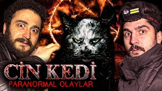 BU KEDİ CİN Mİ? - 120 Yaşındaki Halime Hatun'un KORKUNÇ KONAĞI | Paranormal Olaylar