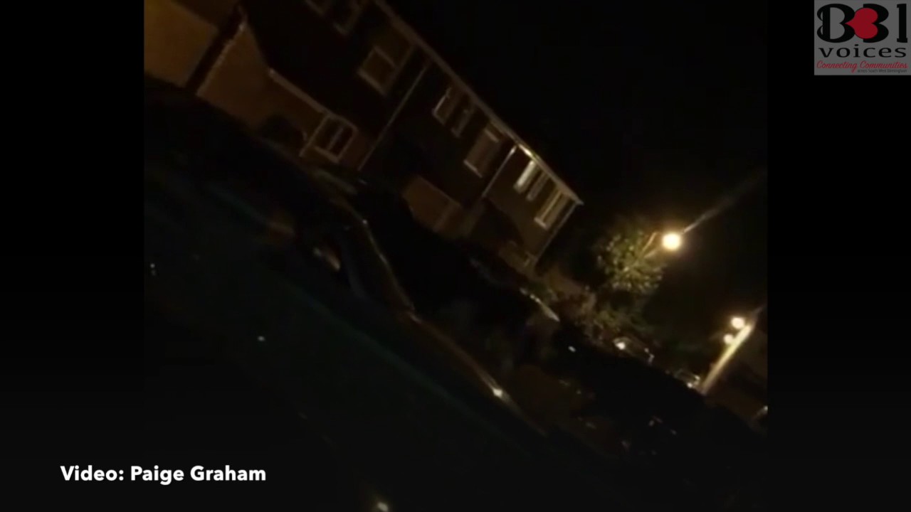 Frankley cow stampede