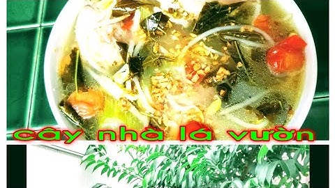 🎈🇺🇸 hái lá cốc nấu canh chua đầu cá //ở mỹ  //ăn rất ngon//BÌNH TÂM USA FAMILY