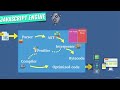 JavaScript Adv Concepts Foundation I 0204 Inside the Engine
