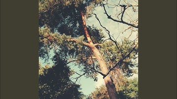 Soulful Backdrops for Ice Baths