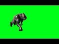 || Attack gorilla 🦍 green screen video ||green screen||green Animal||